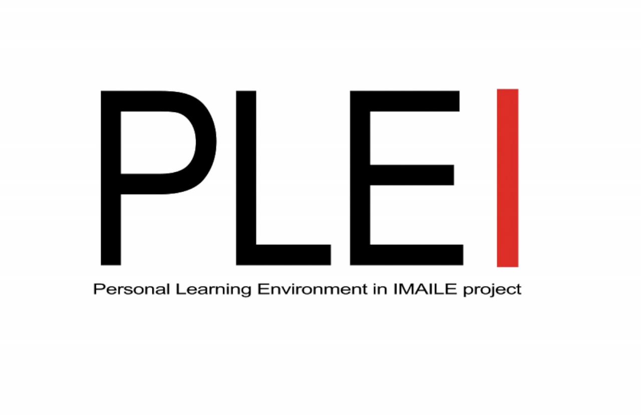 PLEI logo